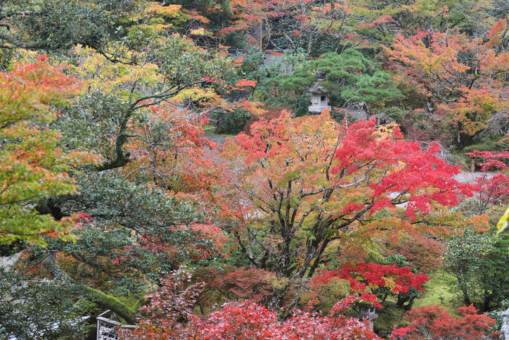 Cheap Flights from Sapporo to Kanazawa