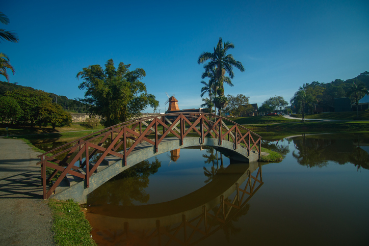 Cheapest flights to Joinville
