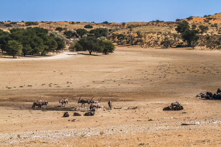 Cheapest flights to Upington