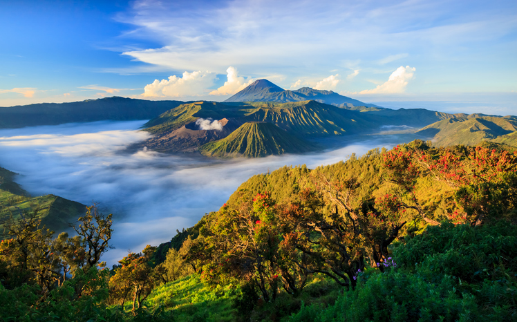 Cheap Flights from Denpasar to Surabaya