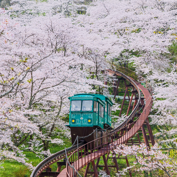 Cheapest flights to Sendai