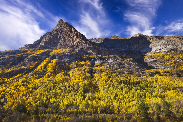 Cheapest flights to Elko